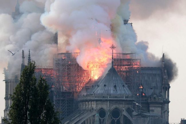 notre dam 2